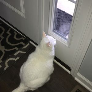 Meet your Posher, Sami